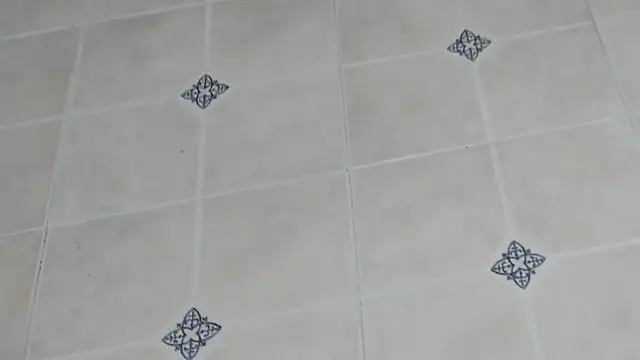 georginacouple hardsex online show from 04/25/26, 03:09