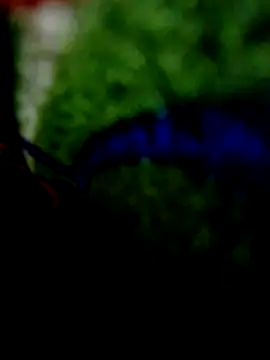 wifedesi7050 online show from 04/20/26, 08:21