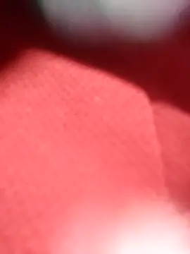 jackkk0011 online show from 02/26/26, 12:48