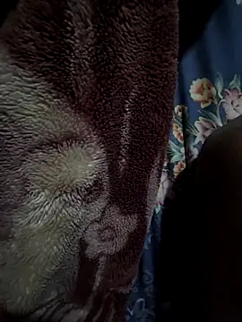 Snapshot of rmriya chatting on 02/27/26, 04:40 rmriya online show from 02/27/26, 04:40