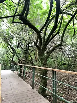 The Conquer online show from 04/10/26, 06:34