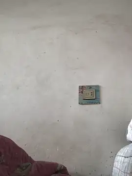 yaocaobi8 online show from 03/13/26, 07:48