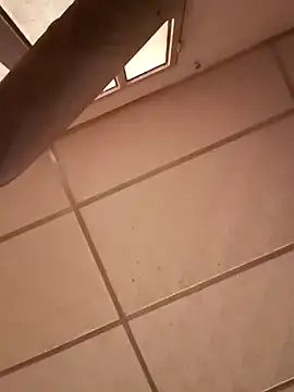 darwinmodell online show from 12/28/24, 04:52