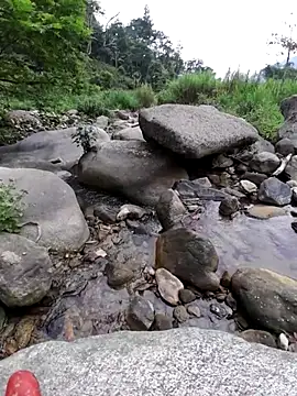 zanh99 online show from 04/24/26, 05:43