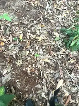 Snapshot of bibedro chatting on 02/28/26, 09:16 bibedro online show from 02/28/26, 09:16