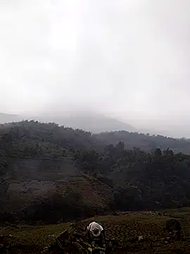 lyly sexx online show from 03/14/26, 04:29