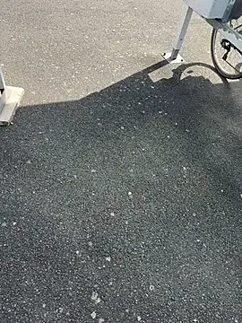 portostrip online show from 04/14/26, 01:39