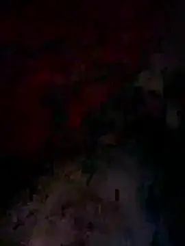 Snapshot of bwcyoussef chatting on 02/27/26, 06:35 bwcyoussef online show from 02/27/26, 06:35