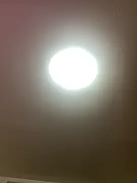 KarmaFoxx online show from 03/26/26, 03:01