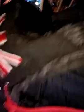 Zorrapunka online show from 03/31/26, 04:18