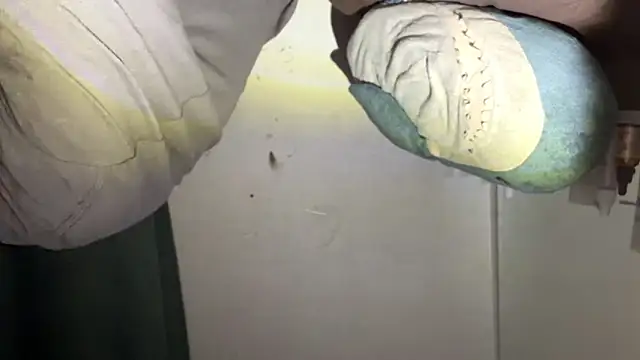 Mark Shoyer2 online show from 04/23/26, 10:12