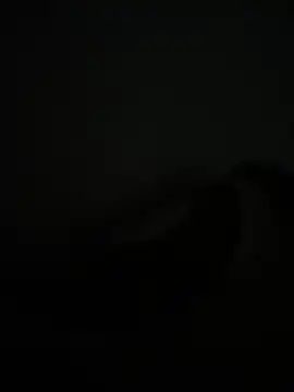 noorqwertz online show from 05/08/26, 04:56