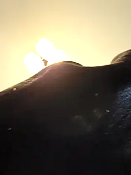 KinkyKittyBoy online show from 04/19/26, 06:10