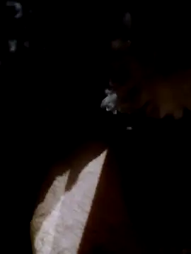 Adix 02six online show from 04/14/26, 01:55