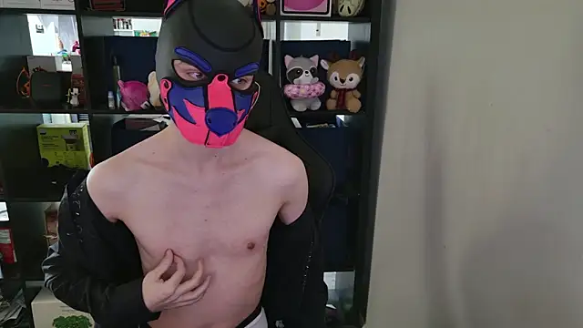 MellPUP online show from 04/01/26, 04:26