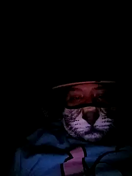 Snapshot of Charlygunslove chatting on 03/03/26, 01:34 Charlygunslove online show from 03/03/26, 01:34