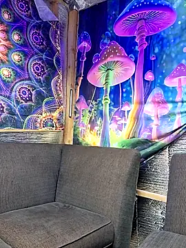 Snapshot of drednasty chatting on 03/31/26, 12:01 drednasty online show from 03/31/26, 12:01