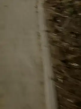 MarekPublicShow online show from 03/03/26, 09:42