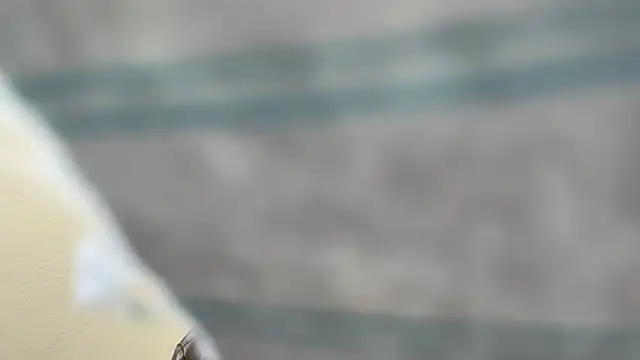 the-gen-xxx online show from 03/17/26, 11:08