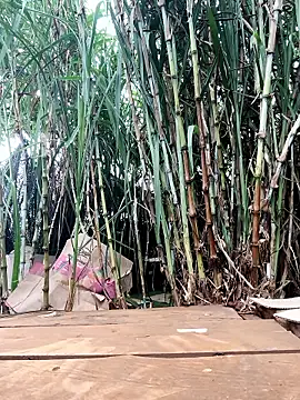 Tini-mimi online show from 04/23/26, 12:45