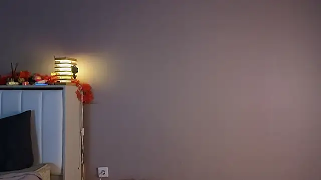 Snapshot of shiny_pichu chatting on 03/11/26, 08:15 shiny pichu online show from 03/11/26, 08:15