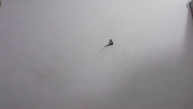 hard to do   online show from 04/20/26, 06:16