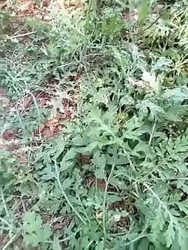 new sexy couple online show from 03/13/26, 08:21