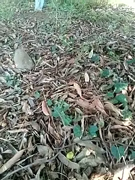 new sexy couple online show from 04/07/26, 07:20