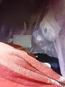 chekoko online show from 04/17/26, 09:51