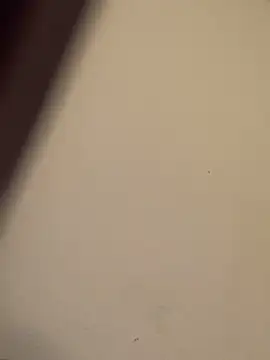 buivali00 online show from 03/15/26, 11:38