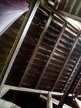 Nthk6 online show from 03/18/26, 06:05