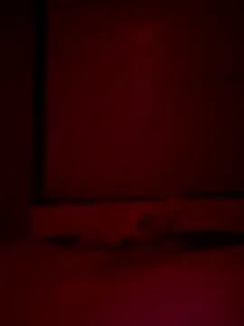 Snapshot of Foxmen9090 chatting on 03/22/26, 01:31 Foxmen9090 online show from 03/22/26, 01:31