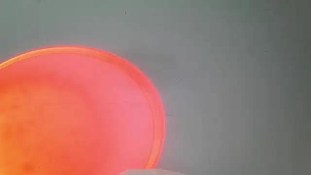 Snapshot of srghost333 chatting on 03/25/26, 03:56 srghost333 online show from 03/25/26, 03:56