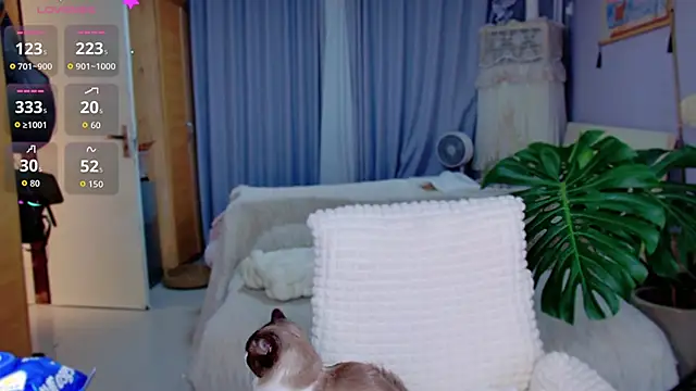 JaeHartMorn online show from 04/20/26, 08:32