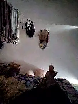 roselover2222 online show from 03/29/26, 10:48