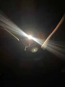 FastFucky online show from 04/26/26, 08:50