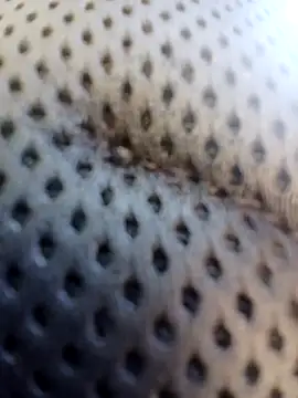 ejthedancer online show from 03/24/26, 05:29