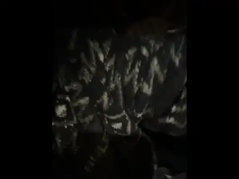 Teddy4420 online show from 05/22/26, 03:02