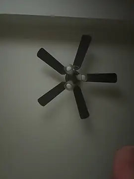 whitelioncody online show from 04/17/26, 07:00