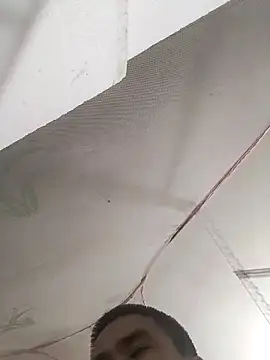 Tinh love online show from 04/11/26, 02:21