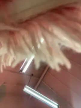 Victoria Vega   online show from 04/17/26, 12:30