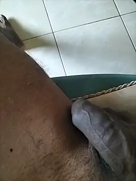 wildguy27 online show from 04/10/26, 07:57