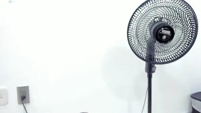 noah chips  online show from 04/07/26, 05:30