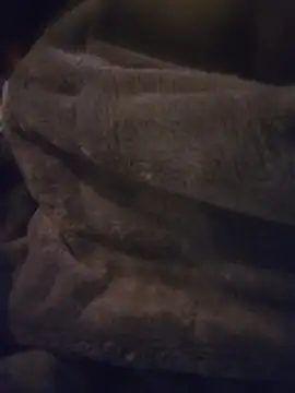 CocKtopus prim3 online show from 04/21/26, 06:55