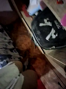 Matheus Enrique online show from 04/15/26, 03:41