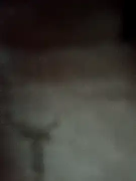 Datachange online show from 04/03/26, 03:21