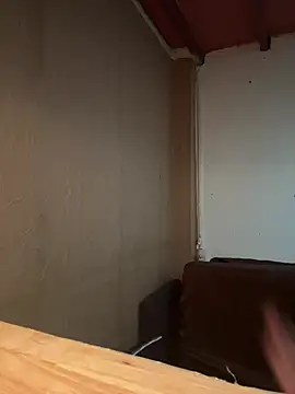 Snapshot of minibro1234vip chatting on 04/06/26, 01:03 minibro1234vip online show from 04/06/26, 01:03