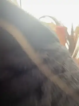 AlmaSajor  online show from 04/14/26, 01:17