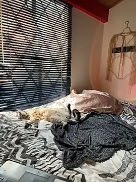 AlmaSajor  online show from 04/23/26, 03:25