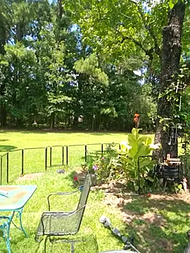 Blondejenn online show from 06/29/26, 06:52